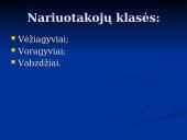 Gyvybės atsiradimo kilmės hipotezės. Nariuotakojai 10 puslapis
