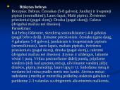 Gyvūnų apibūdinimas panaudojant K. Gesnerio sistemą 16 puslapis