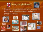 Gyvūnų dauginimasis 11 puslapis