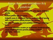 Gyvūnų dauginimasis 14 puslapis