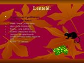 Gyvūnų dauginimasis 17 puslapis