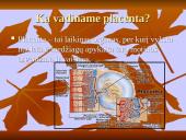 Gyvūnų dauginimasis 10 puslapis