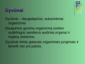 Gyvūnų karalystė 2 puslapis