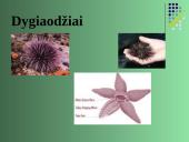 Gyvūnų karalystė 12 puslapis