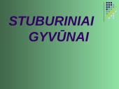 Gyvūnų karalystė 13 puslapis