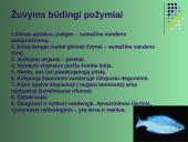 Gyvūnų karalystė 15 puslapis