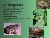 Gyvūnų karalystė 16 puslapis