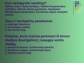 Gyvūnų karalystė 17 puslapis