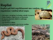 Gyvūnų karalystė 18 puslapis