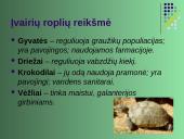 Gyvūnų karalystė 19 puslapis