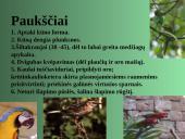 Gyvūnų karalystė 20 puslapis