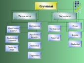 Gyvūnų karalystė 3 puslapis