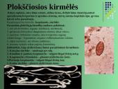 Gyvūnų karalystė 5 puslapis