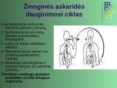 Gyvūnų karalystė 7 puslapis