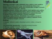 Gyvūnų karalystė 9 puslapis