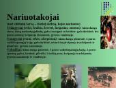 Gyvūnų karalystė 10 puslapis