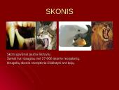 Gyvūnų pojūčiai 5 puslapis