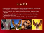 Gyvūnų pojūčiai 6 puslapis