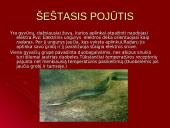 Gyvūnų pojūčiai 9 puslapis