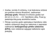 Grafai. Ciklai. Keliai 13 puslapis