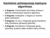 Grafai. Ciklai. Keliai 17 puslapis