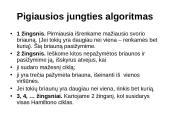 Grafai. Ciklai. Keliai 18 puslapis