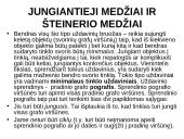 Grafai. Ciklai. Keliai 19 puslapis