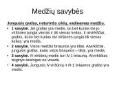 Grafai. Ciklai. Keliai 20 puslapis