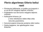 Grafai. Ciklai. Keliai 7 puslapis