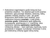 Grafai. Ciklai. Keliai 10 puslapis