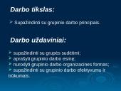 Grupinio darbo principai 2 puslapis