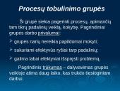 Grupinio darbo principai 11 puslapis