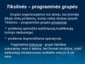 Grupinio darbo principai 12 puslapis
