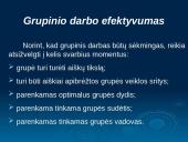 Grupinio darbo principai 13 puslapis