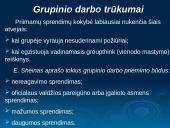 Grupinio darbo principai 14 puslapis