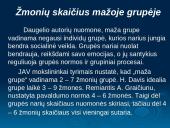Grupinio darbo principai 4 puslapis