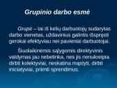 Grupinio darbo principai 6 puslapis