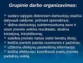 Grupinio darbo principai 7 puslapis