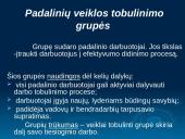 Grupinio darbo principai 9 puslapis