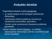 Grupinio darbo principai 10 puslapis
