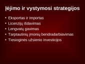 Įėjimas ir plėtra 6 puslapis