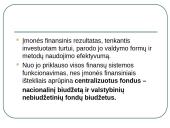 Makro ir mikro finansai 11 puslapis