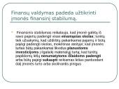 Makro ir mikro finansai 13 puslapis