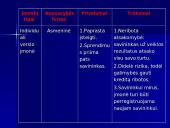 Įmonių samprata ir klasifikavimas 12 puslapis