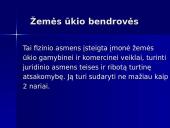 Įmonių samprata ir klasifikavimas 17 puslapis