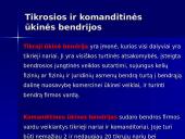 Įmonių samprata ir klasifikavimas 10 puslapis