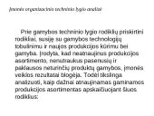 Įmonių organizacinio techninio lygio ir rinkodaros analizė 13 puslapis