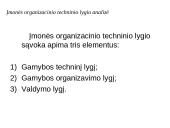 Įmonių organizacinio techninio lygio ir rinkodaros analizė 4 puslapis