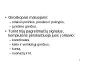 Inercinės sistemos 17 puslapis