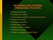 Informacijos įvedimo priemonės 2 puslapis